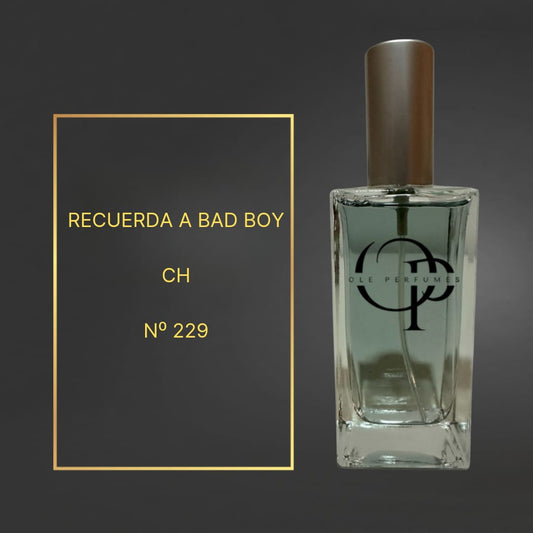 229 RECUERDA A BAD BOY CH